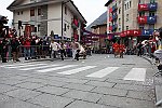 Gara delle Bighe 2011-7880